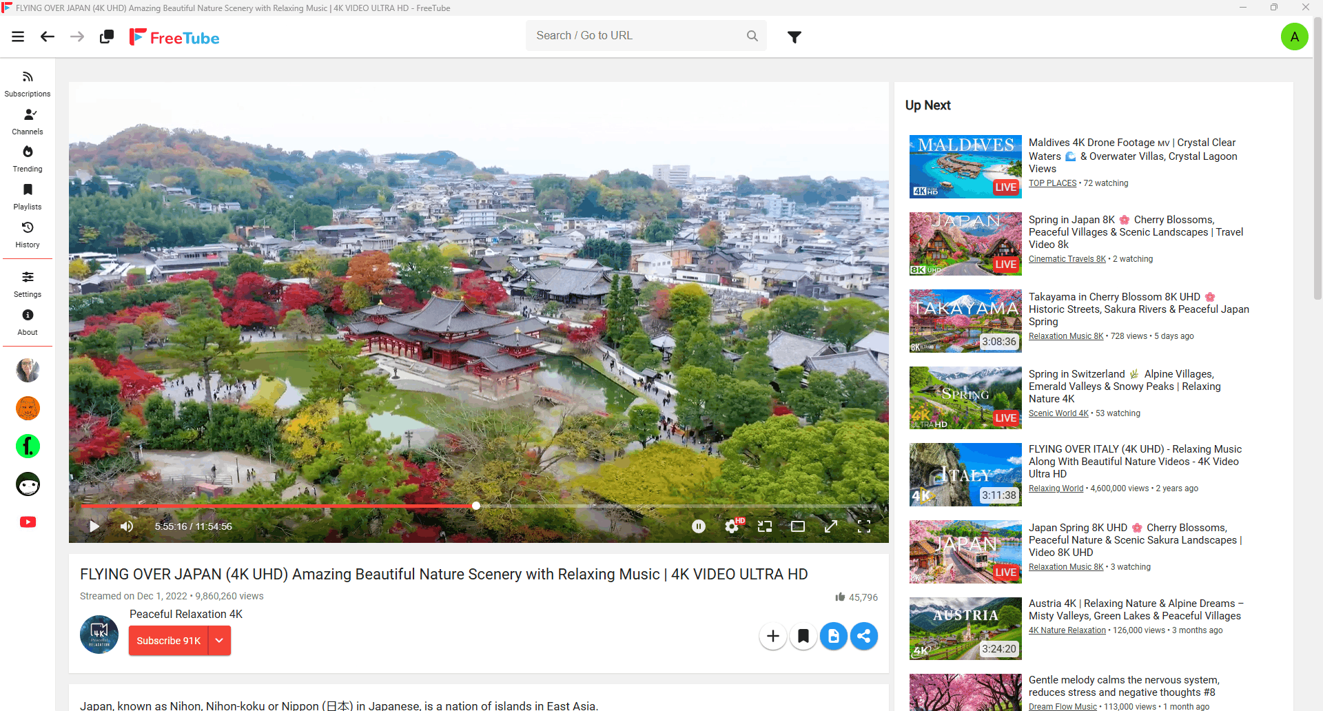 FreeTube video player